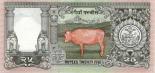 25 rupees (other side) 25