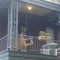 Belvedere Suites