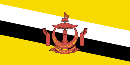 Nationella flagga, Brunei