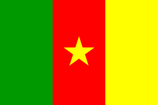 Nationella flagga, Kamerun