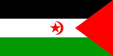 National flag, Western Sahara