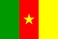 Nationella flagga, Kamerun