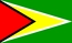 Nationella flagga, Guyana