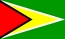National flag, Guyana