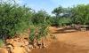 Camping site for nature lovers in Namibia