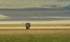 4 DAYS SAFARIS: LAKE MANYARA, SERENGETI, NGORONGORO CRATER