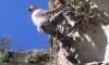 ROCK CLIMBING IN AREQUIPA